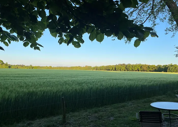 Doevelsteeg Ommen