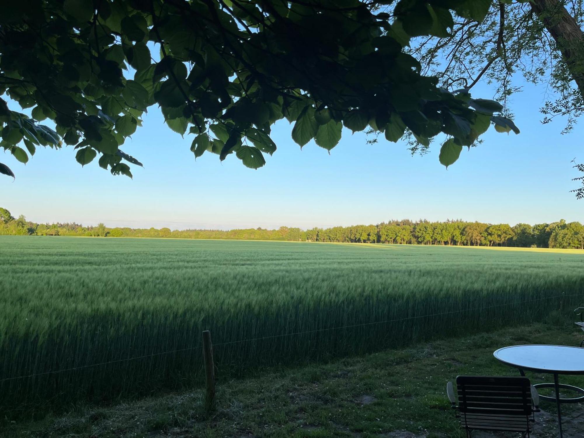 Doevelsteeg Ommen Apartment Arrien